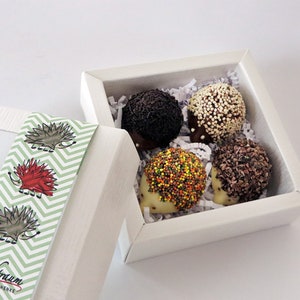 4 ouriços doces feitos de chocolate recheado, praliné de nougat, nougat de avelã, nougat, chocolate, presente, embalagem, ouriço de chocolate