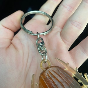 Vintage Brown Plastic Rubber Cockroach Keychain - Etsy