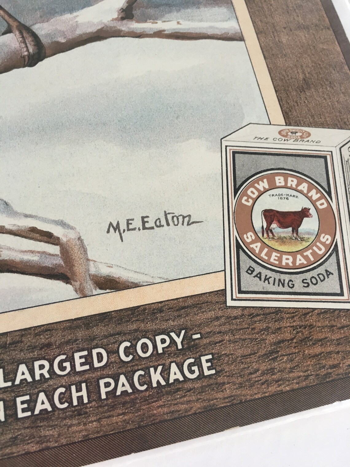 Vintage Cardboard Cow Brand Baking Soda Bird Print Lithograph Etsy