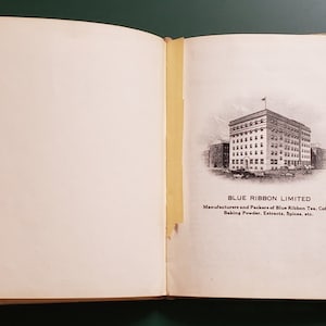 Vintage Blue Ribbon Cookbook For Everyday Use in Western Homes Twenty-Second Edition (1905)
