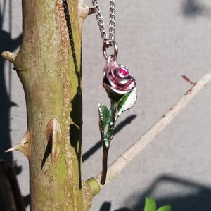 Può includere: Una collana d'argento con un ciondolo a forma di rosa. La rosa è di un rosa intenso con foglie verdi e uno stelo argentato. Il ciondolo è appeso a una catena d'argento. Sullo sfondo un ramo.