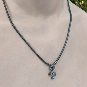 Puede incluir: Un collar de serpiente de plata con una cadena negra.