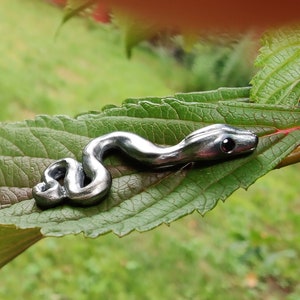 Könnte beinhalten: Ein silberner Schlangenanhänger mit einem schwarzen Auge, der auf einem grünen Blatt liegt.