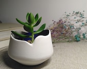 Gardening Gift, Modern Planter, Modern Home Decor, Succulent Pot, Desk Planter Pots, Small Planter, Ceramic Planter, Plant Pot, Plant Holder