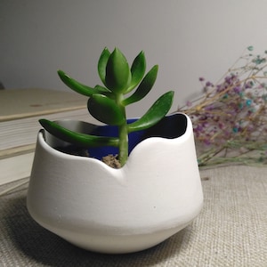 Handmade Ceramic Succulent Planter: Modern Home Decor, Desk Planter