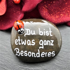 Puede incluir: Una piedra lisa, de color marrón oscuro, con el texto alemán "Du bist etwas ganz Besonderes" en escritura blanca. Una pequeña mariquita roja con lunares negros está adherida. El fondo presenta elementos florales rojos texturizados.