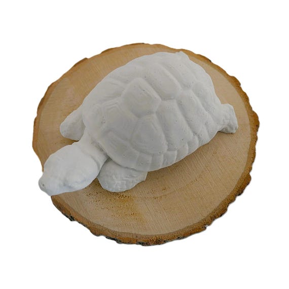120 Mini Tartarughe In Resina Fosforescenti – Decorazioni Per Giardini Delle Fate, Casa Delle Bambole, Fai Da Te E Regali Compleanno - 3