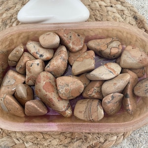 Leopard Jasper: 2-3 cm tumbled stone