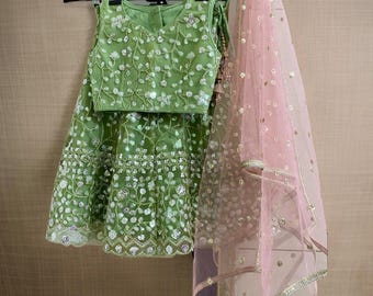 Embroidered Lehenga Choli: Custom Indian Outfit, Girls Wedding Dress