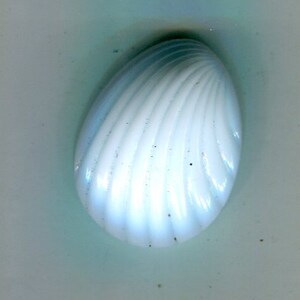 1 cabujón bohemio "concha" 25 x 18 mm azul claro