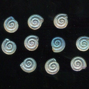 Pierres décoratives cabochon escargots cristal AB 10 mm
