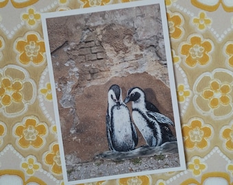 Postkarte Pinguine | Pinguin Karte | Fotografie Graffiti Streetart | Karte Pinguin