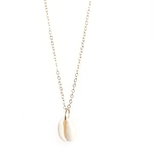 May include: A gold chain necklace with a white cowrie shell pendant.