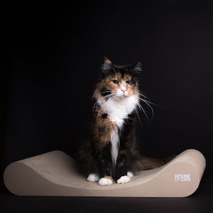 Scratcher Sofá Eco para guarida de gatos