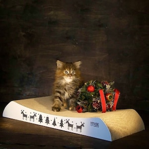 Árbol de gato de cartón Cama para gatos de House of Cat para Navidad