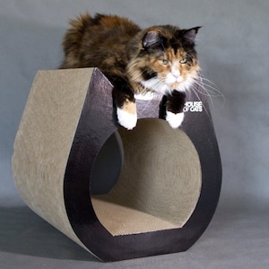 Casa Rascador Cama Casa para gatos de House of Cats