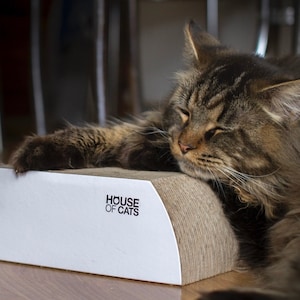 Kratzbaum Flat White - House of Cats