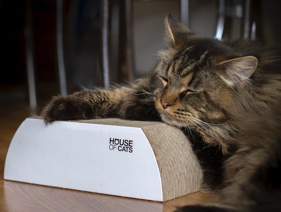 flat scratching post