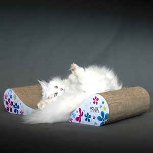 Drapak de cartón Lair para gato de House of Cats