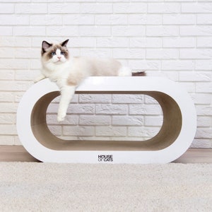 Enorme scratcher cartón Guarida de gato de House of Cats