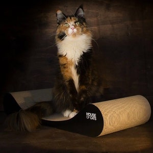 Rascador de cartón para gatos de House of Cats