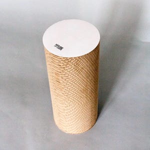 Poste rascador para gatos de House of Cats: ¡la más alta calidad!