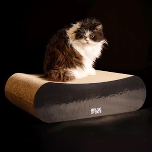 Poste para arranhar de papelão Cama para gato da House of Cats