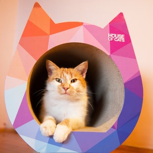 Drapak Cottage Placeduch Buda chat de House of Cats