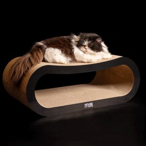Poste para arranhar de papelão Cama para gato da House of Cats
