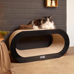 Un enorme rascador de cartón y una cama para gatos de House of Cats
