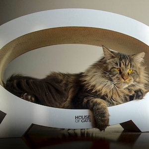 Poste rascador de cartón Cama de gato de House of Cats