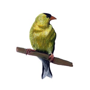 Goldfinch - Giclee Print of Original Mixed Media Painting