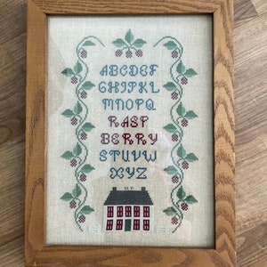 Framed Vintage Cross Stitch Alphabet Raspberry House Sampler