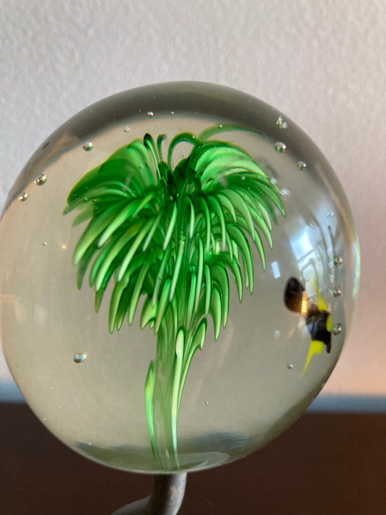 Art Glass Display Coastal Swimming Fish Paperweight 