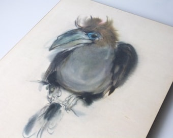 Watercolor of a hornbill by Klaus Meyer-Gasters