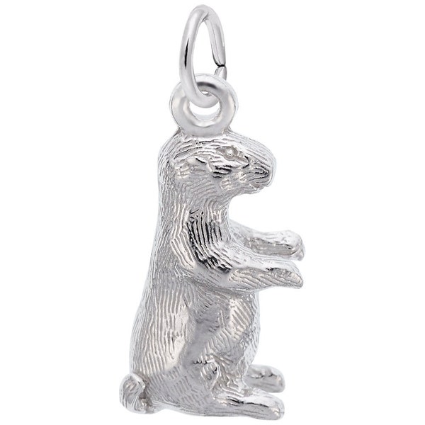 Groundhog Charm Three-Dimensional