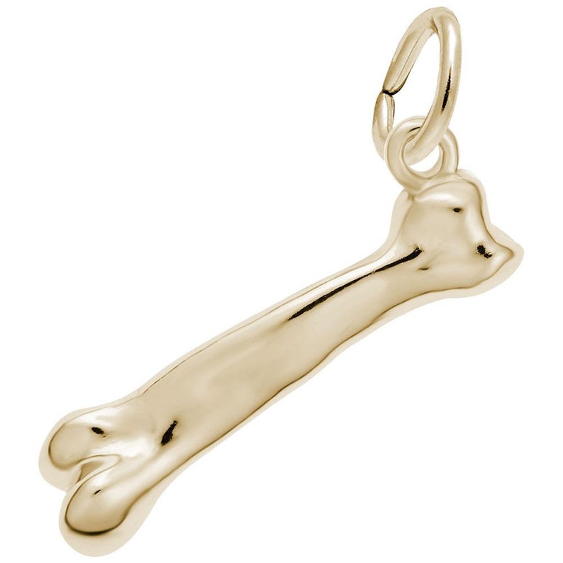 3 DIMENSIONAL Dog Bone Charm