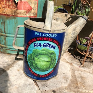 May include: A vintage galvanized watering can with a blue and white label that reads "Pre-Cooled Potato Growers Assn. Fla-Green Brand Green Cabbage Net Weight 50 Lbs. Produce of U.S.A."