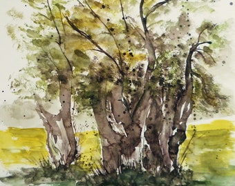 Die alte Eiche - Aquarell -Passepartout 50x60 cm