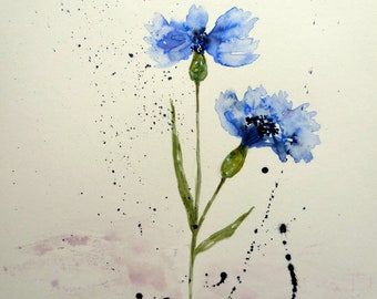 Kornblume, Original Aquarell 2023