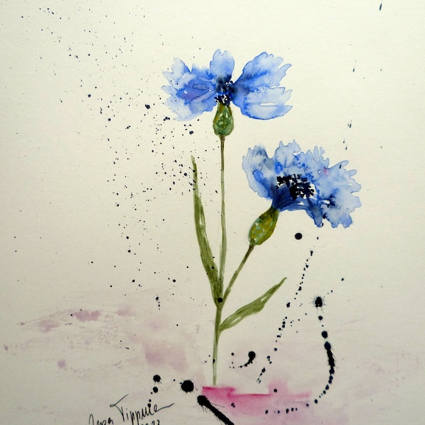 Kornblume, Original Aquarell 2023