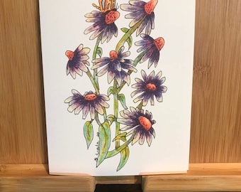 Watercolor Print Notes | Coneflower Notes | Illustrated Note Cards |  Purple Flowers Cards | hand painted flower notes