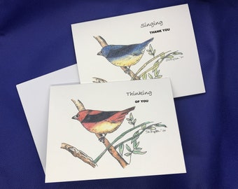 Bird Note cards Thank You/Thinking of You | Illustrated Hand Water color Pencil Blank Prints with Envelopes | Bag of 8