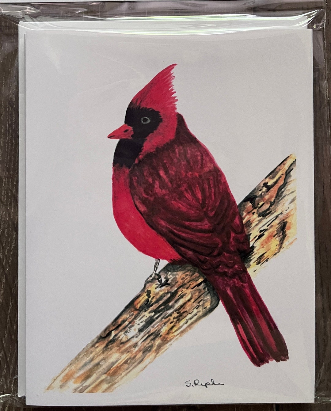 Cardinal on a Branch Note Cards| Illustrated Hand Water Colored Blank ...