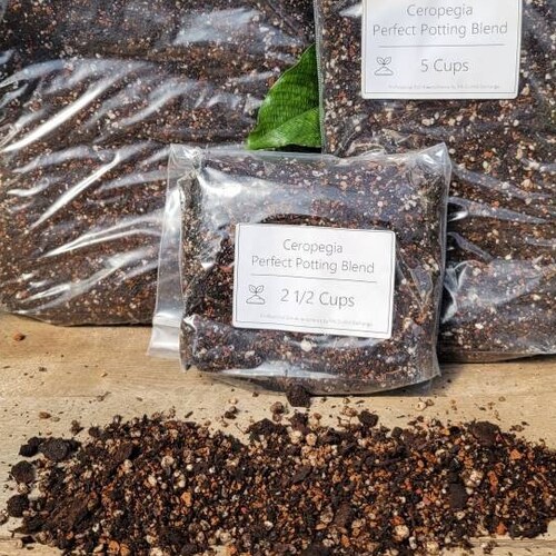 Jewel Orchid Perfect Potting Blend Potting Mix for All Jewel Etsy
