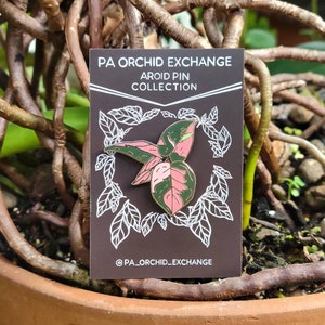 Philodendron pink princess | Hard Enamel Pin