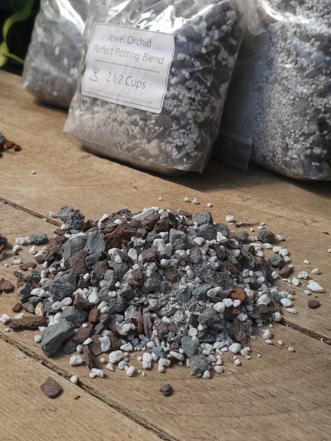 Jewel Orchid Perfect Potting Blend Potting Mix for All Jewel Etsy