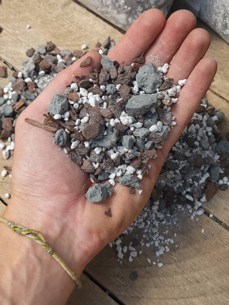 Jewel Orchid Perfect Potting Blend Potting Mix for All Jewel Etsy