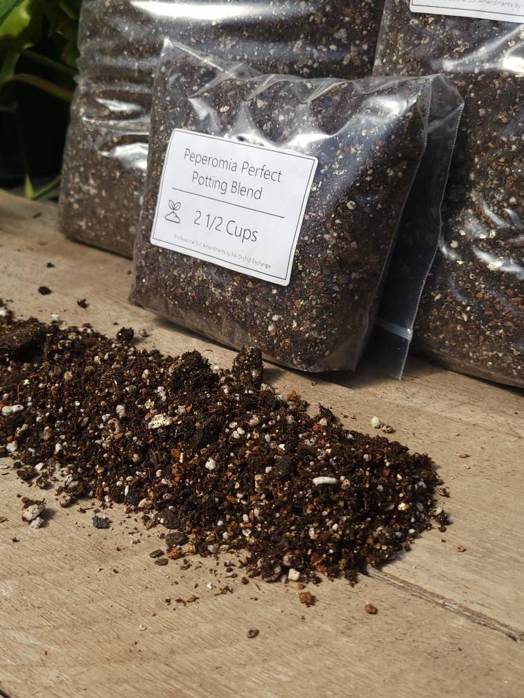 Peperomia Perfect Potting Blend Potting Mix for All Etsy