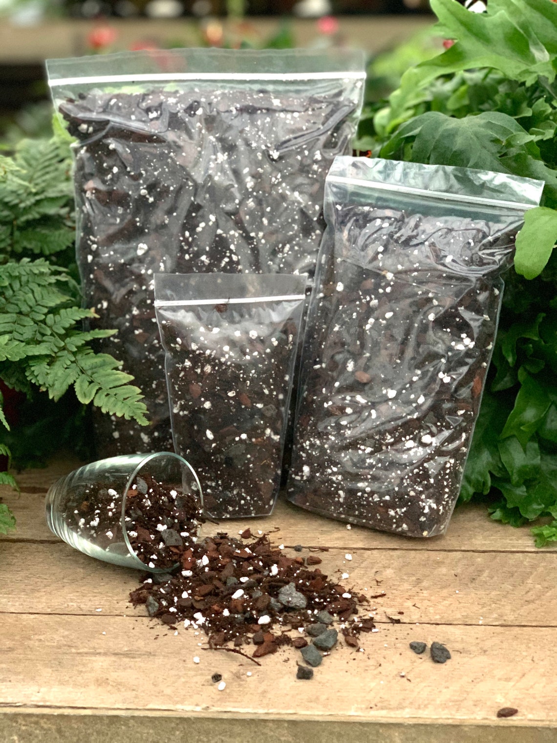 Hoya Perfect Potting Blend Potting Mix for All Hoya Etsy